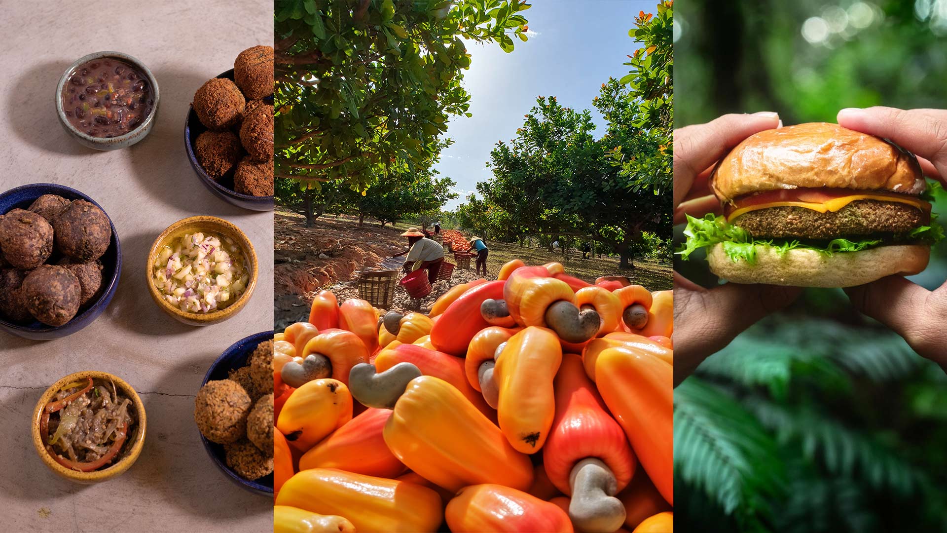 produtos à base de caju